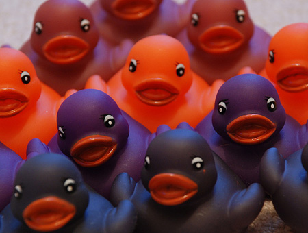 multi colour ducks by Gaetan Lee